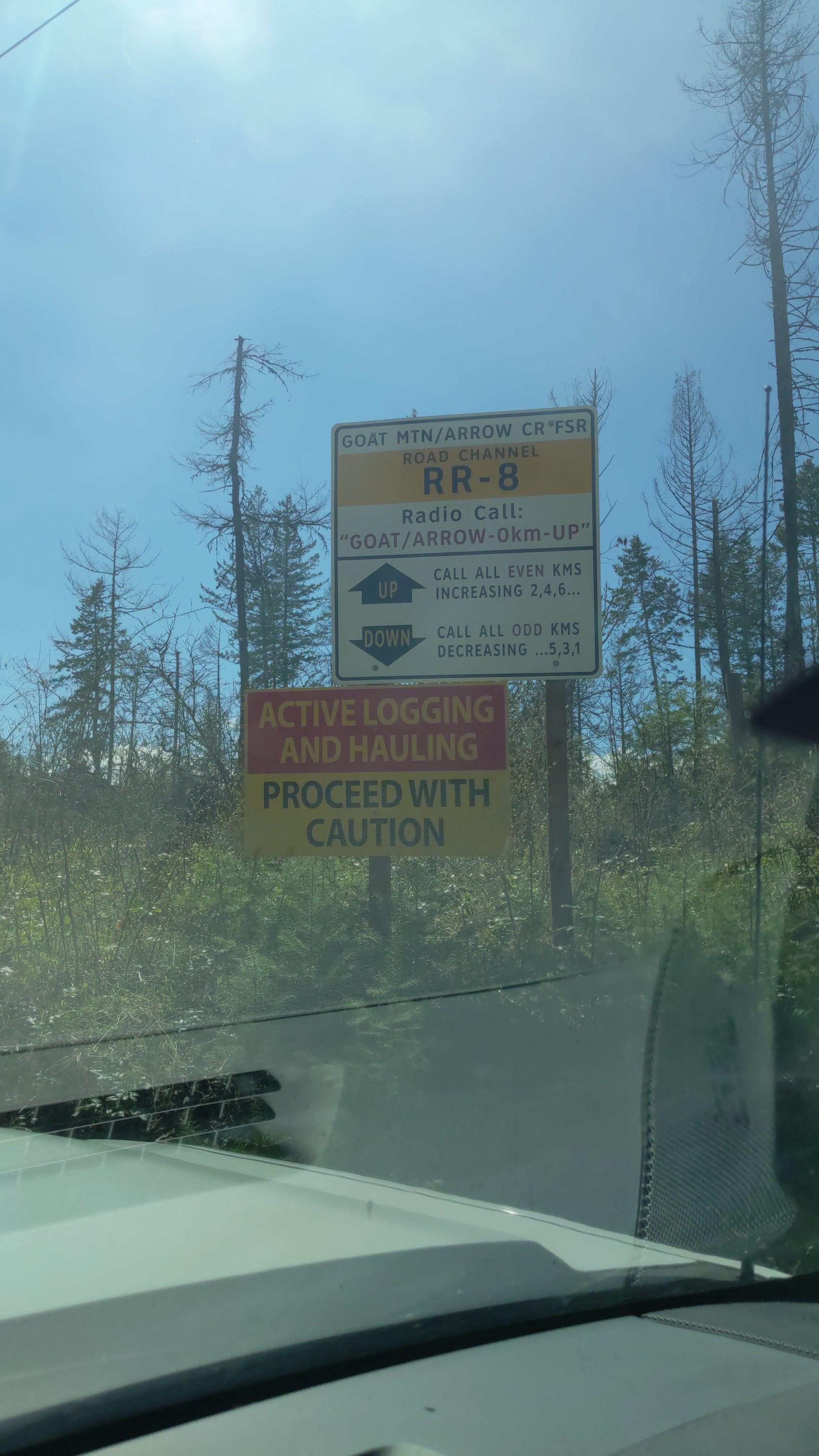 Foster road transitions to logging road